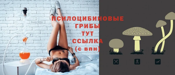 mdpv Инта
