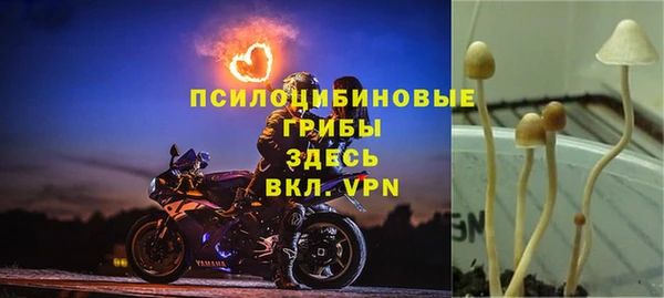 мяу мяу мука Инсар