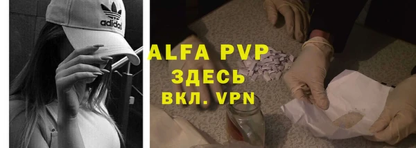 мяу мяу мука Инсар