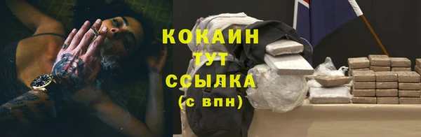 mdpv Инта
