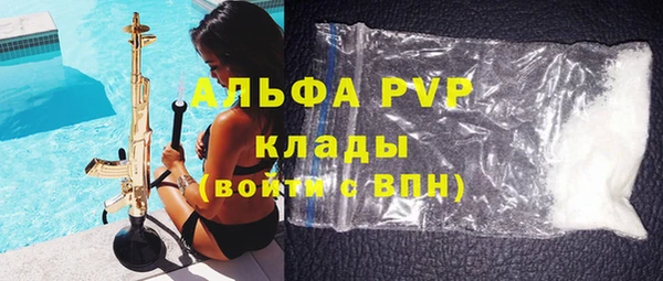 мяу мяу мука Инсар