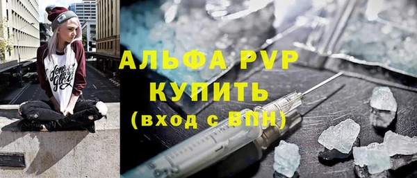 мяу мяу мука Инсар