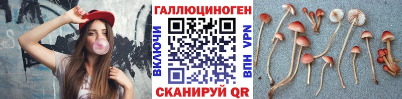 Псилоцибиновые грибы GOLDEN TEACHER  Щигры 