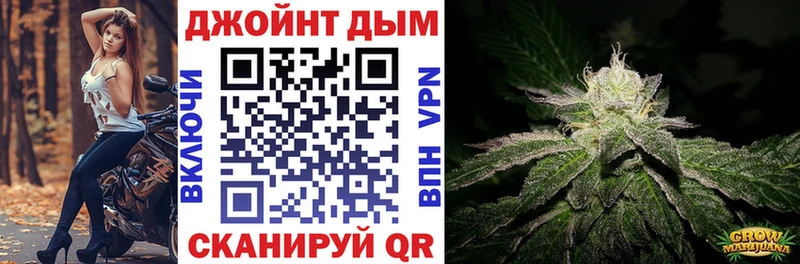 Шишки марихуана Amnesia  где купить наркотик  Щигры 